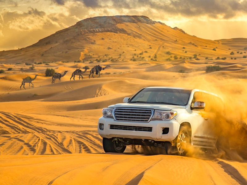 Evening Red Dunes Desert Safari With Delicious BBQ Dinner